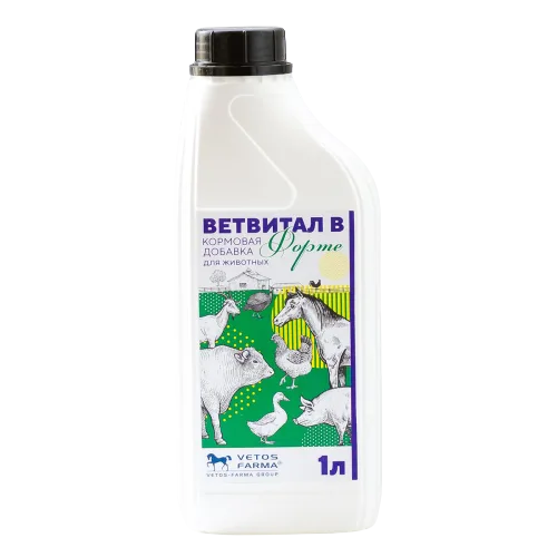 Ветвитал В Форте